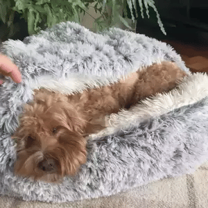 Luxury pet bed: a cozy cave for dogs to snuggle, promoting relaxation & comfort.
