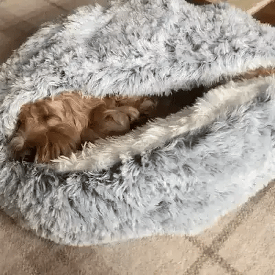 Deeply relaxing calming dog bed, plush and comfortable, perfect for anxious pets.