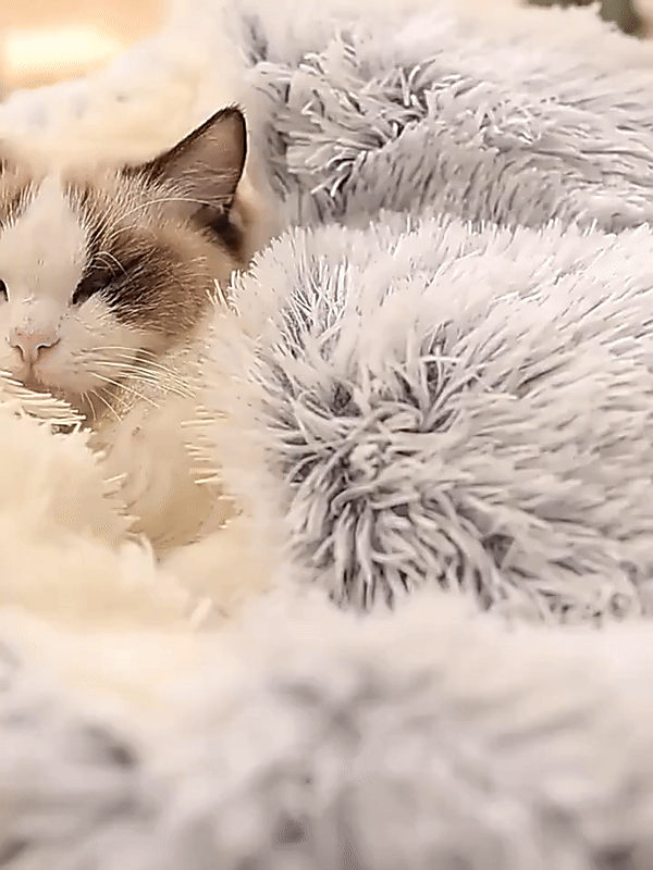 Anxiety relief pet bed, a soft cozy cave designed for ultimate dog comfort & sleep.
