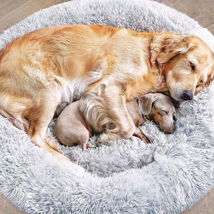 Plush donut dog bed for calming anti-anxiety comfort, perfect pet furniture for dogs and cats