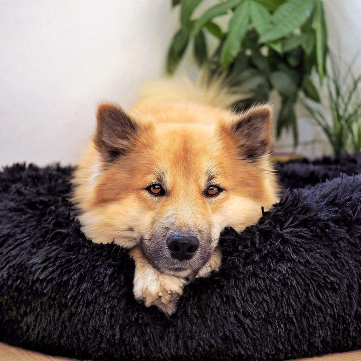 Luxury anti-anxiety pet bed, a round donut dog bed offering ultimate comfort for pets