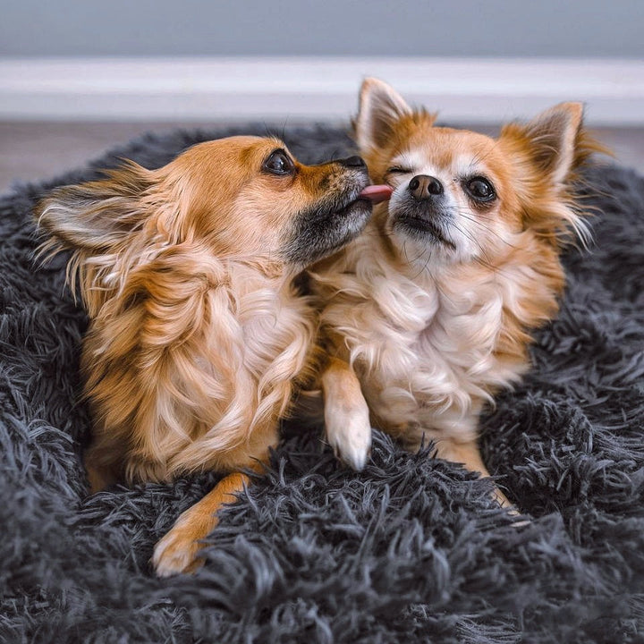 Grey calming dog bed, a cozy donut design with faux fur for anxious pets to snuggle in