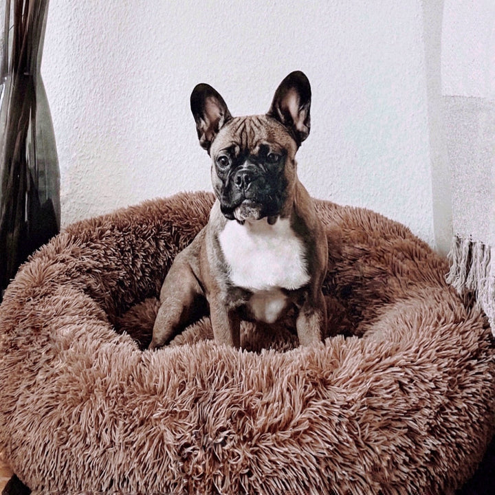 Close-up of a fluffy anti-anxiety donut dog bed texture, showing soft pet comfort