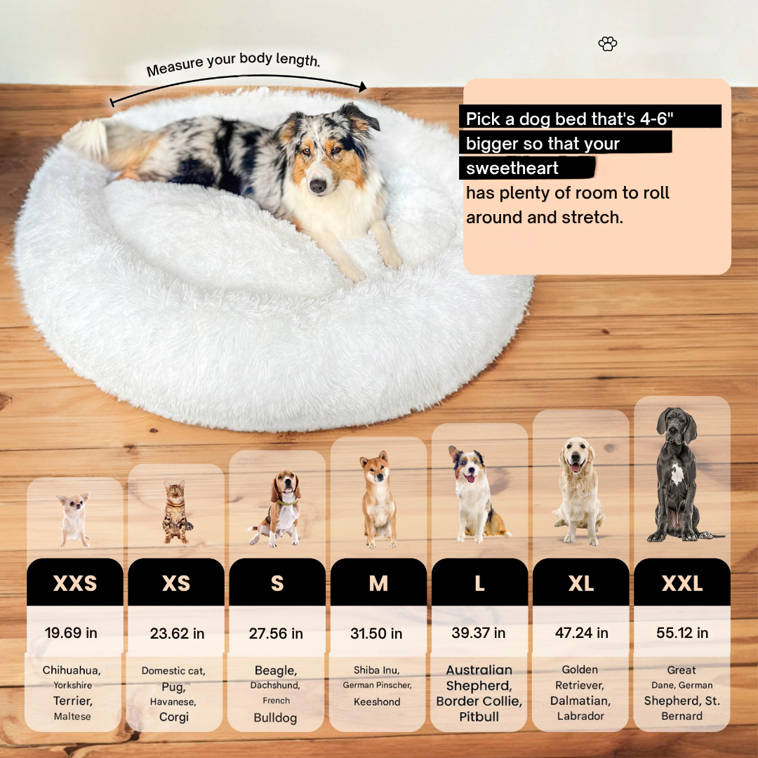 Donut-shaped pet bed, a washable dog comfort item featuring raised rim for head support