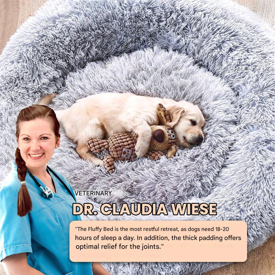 Zoomed out view of a modern living room featuring a stylish anti-anxiety dog bed for pets
