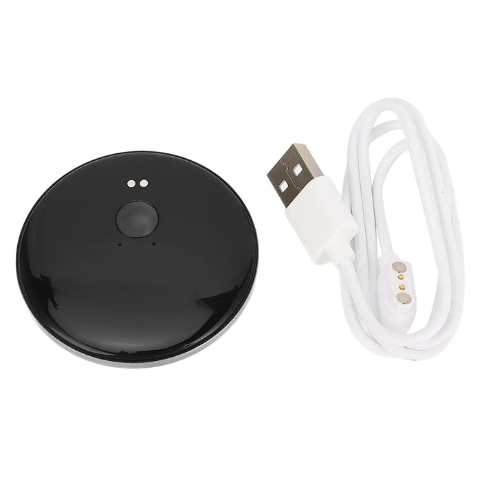 Portable AI language translator device for real-time voice and text recognition in multilingual communication