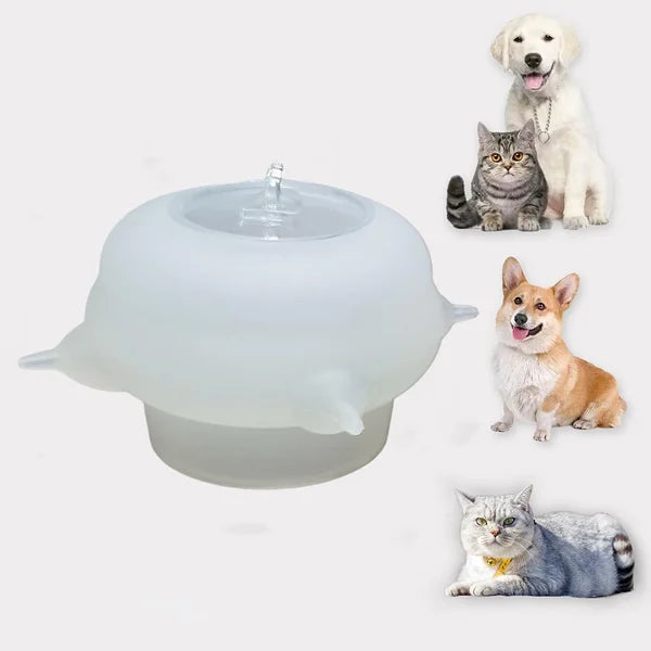 Portable pink kitten milk & water bowl, leak-proof travel pet feeder for small cats, compact animal care.