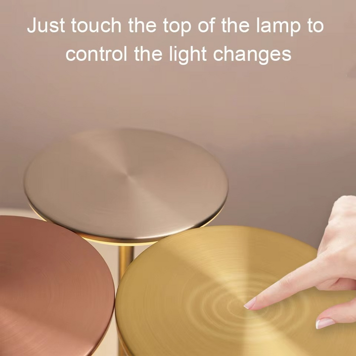 Versatile portable LED lamp, touch control, USB rechargeable, ideal as a wireless accent light.