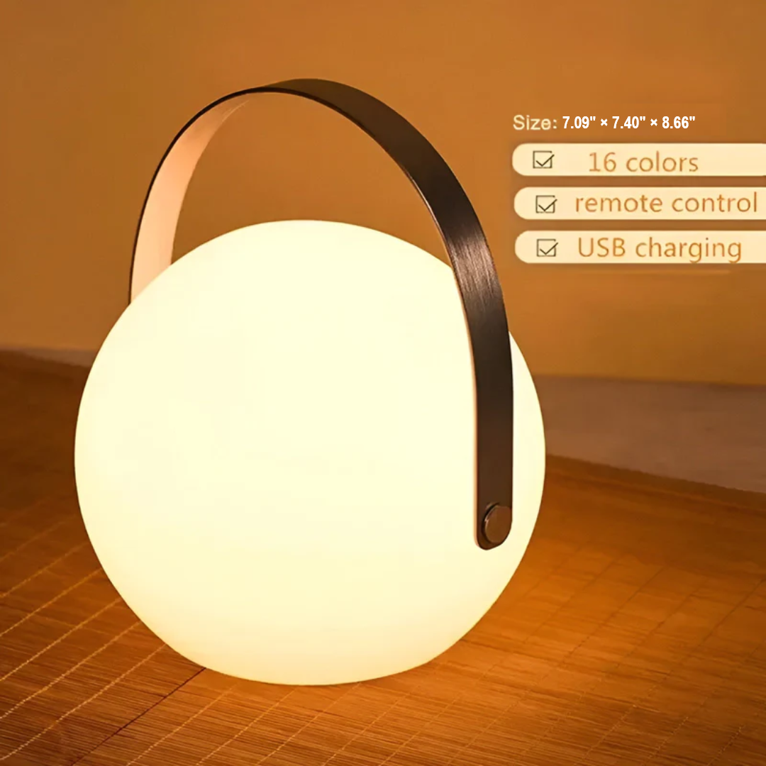 Durable outdoor/indoor portable LED lamp, offering a spectrum of color changing light