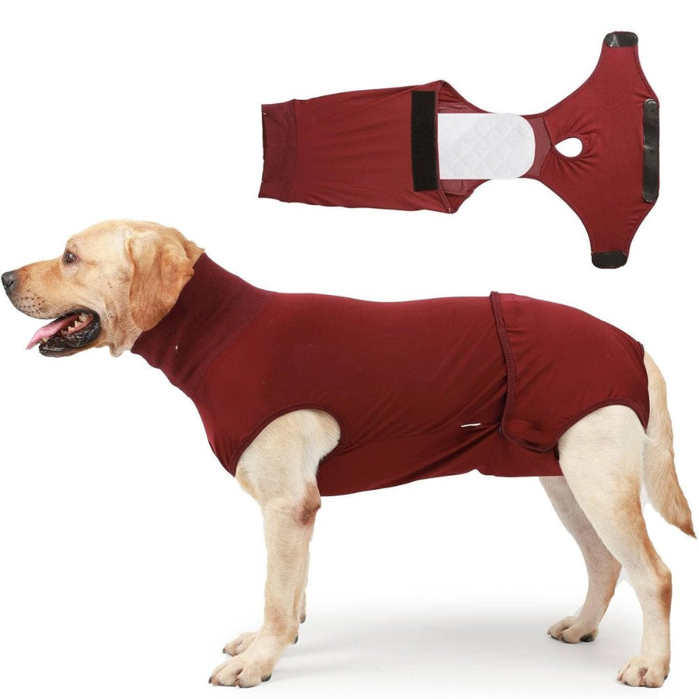 Professional dog recovery suit for post-surgery healing, offers comfort & wound protection.