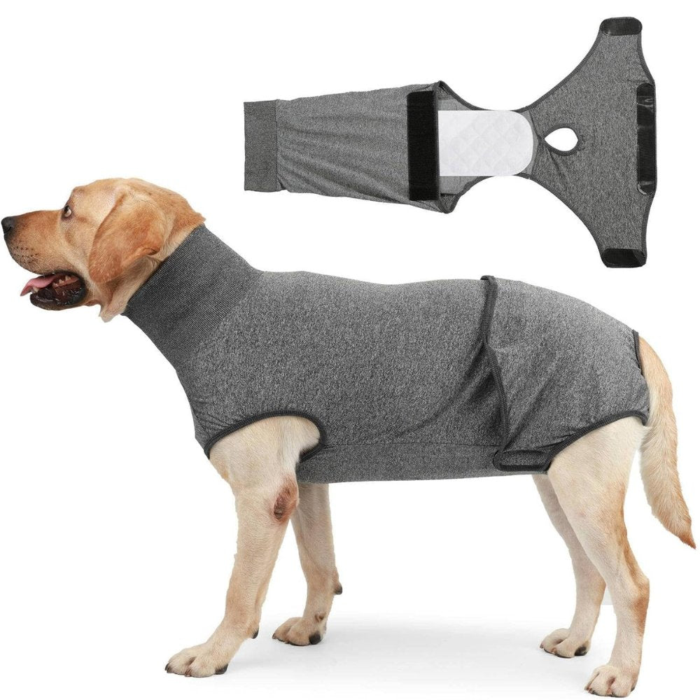 Soft dog recovery suit, anti-licking wound protection & post-op care. A comfortable cone alternative.