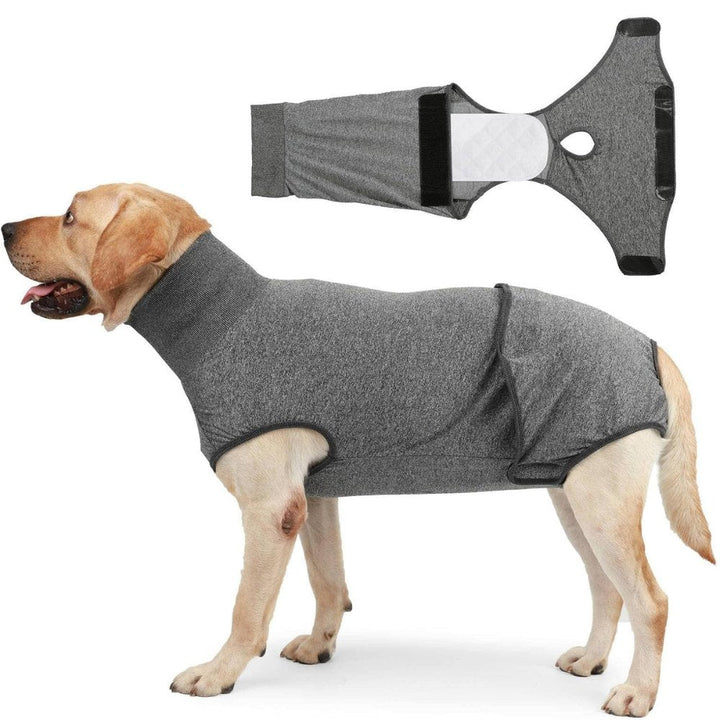 Soft dog recovery suit, anti-licking wound protection & post-op care. A comfortable cone alternative.