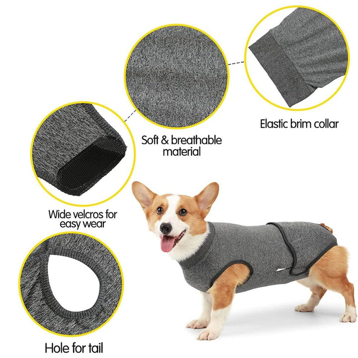 Full-body dog recovery suit ensures pet comfort, protects surgical wounds & prevents licking.