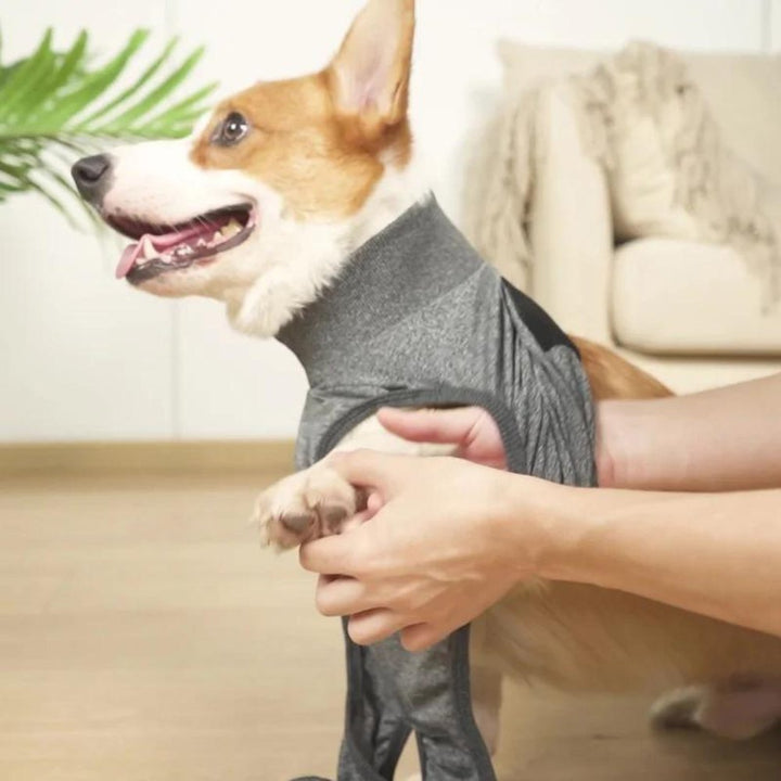 Post-surgery dog suit offering anxiety relief, anti-licking protection & comfortable healing for pets.