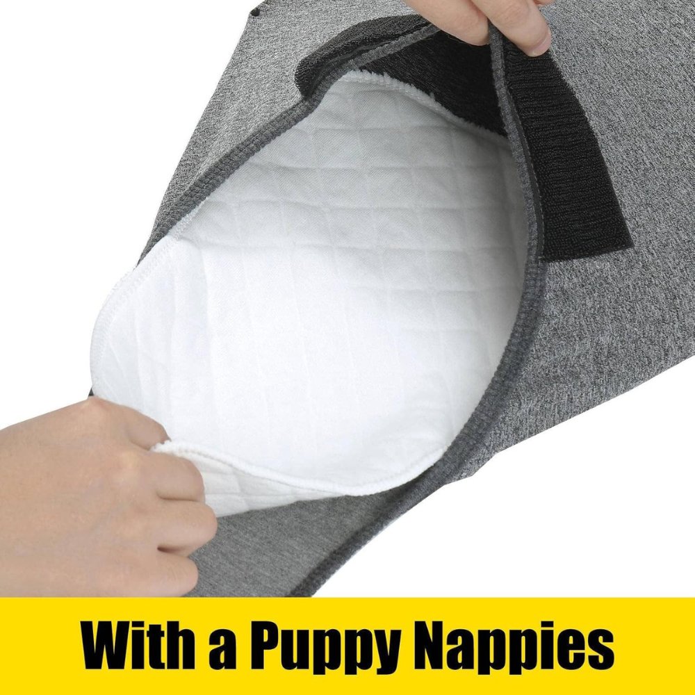 Adjustable dog recovery suit for all breeds, providing secure wound protection & post-op comfort.