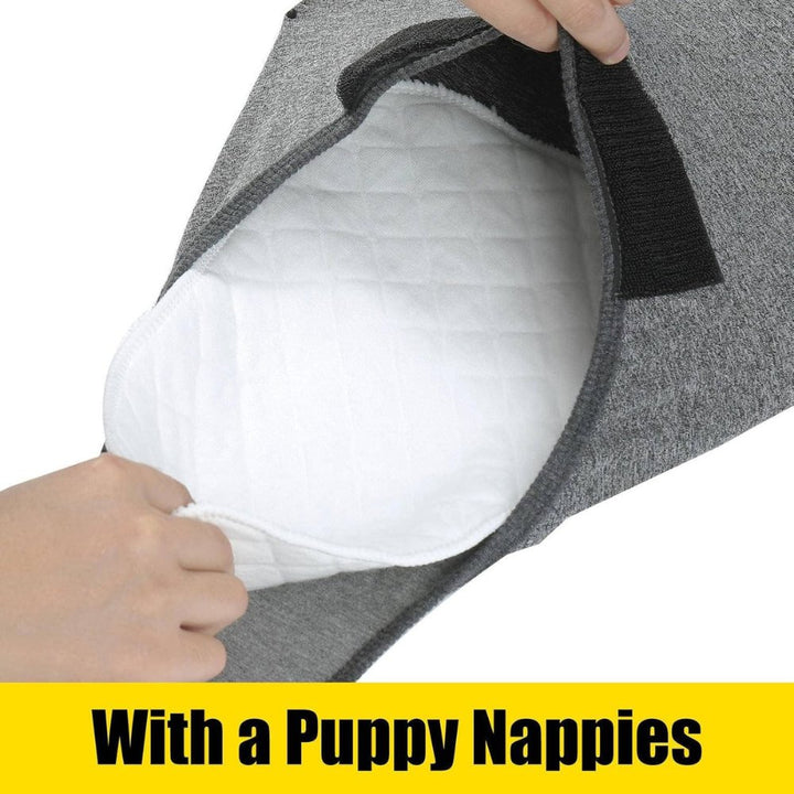 Adjustable dog recovery suit for all breeds, providing secure wound protection & post-op comfort.
