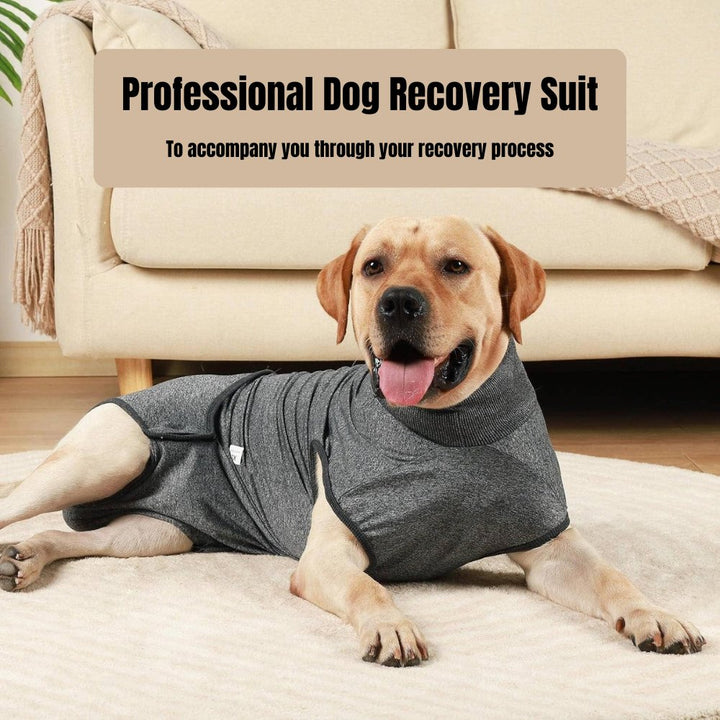 Veterinary recommended dog recovery suit; essential for post-surgical care, health & pet comfort.