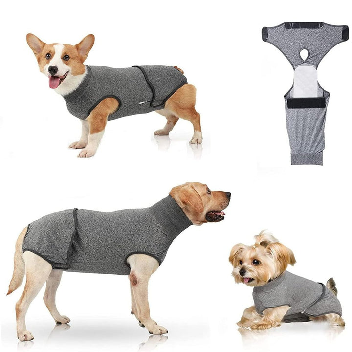 Professional pet recovery suit, a comfortable & protective cone alternative for dog surgery aftercare.