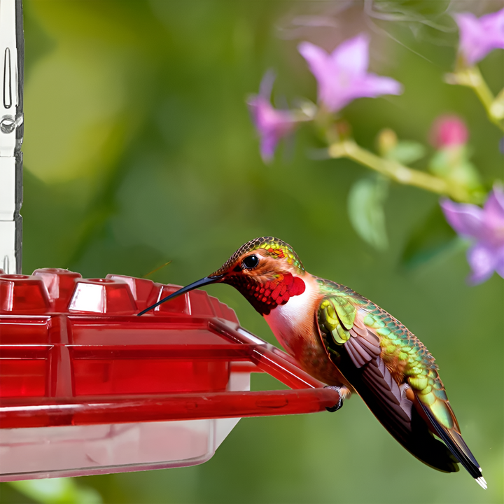 Purple outdoor hummingbird feeder with ant moat & bee deterrent. Perfect for garden bird watching.