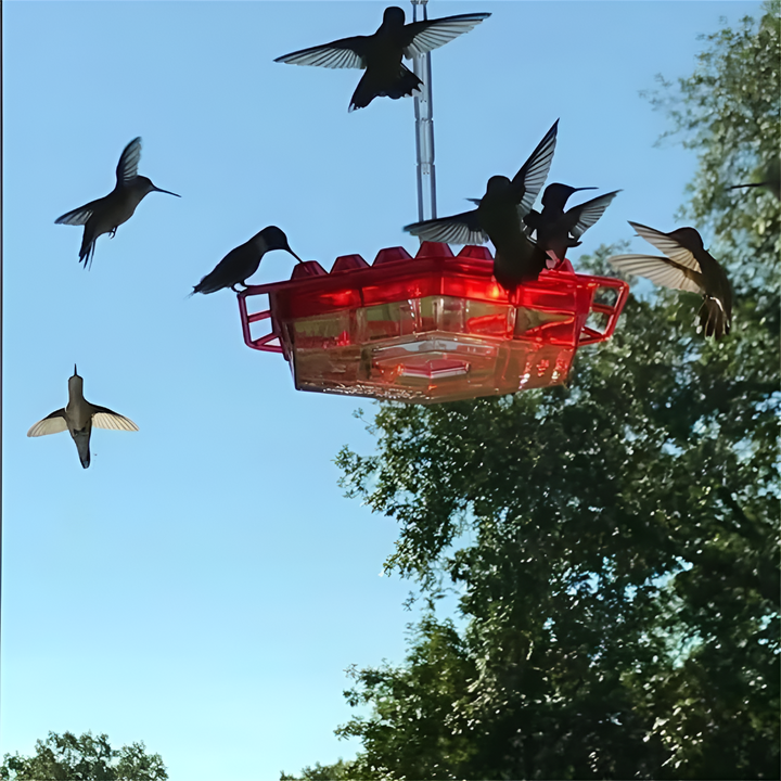 Vibrant red polycarbonate hummingbird feeder with built-in ant moat for pest-free nectar.