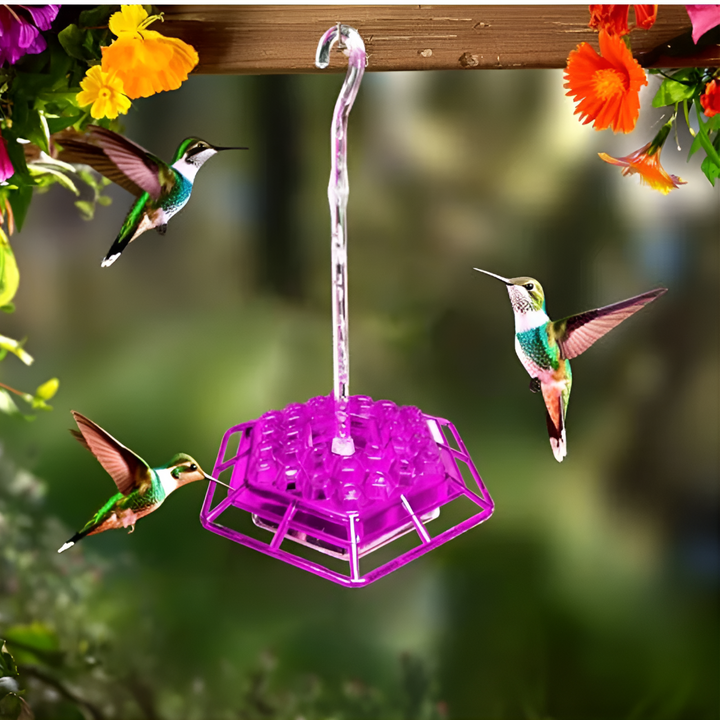 Pest-free outdoor hummingbird feeder with integrated ant moat, keeping nectar clean for birds.
