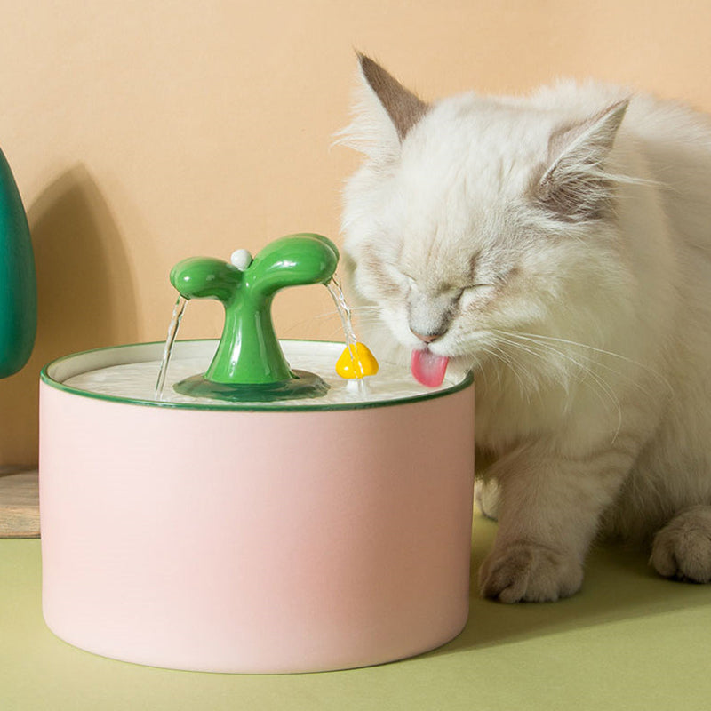 Filtered ceramic pet water dispenser, quiet and automatic, for optimal cat hydration.