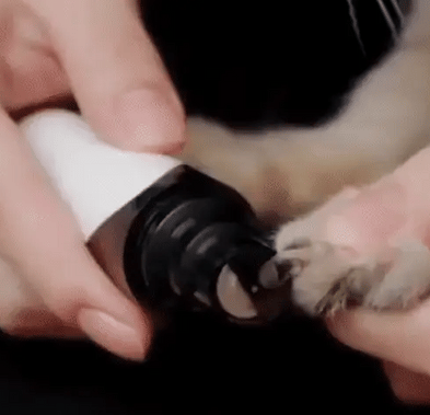 PawTrim electric dog nail grinder. Quiet, rechargeable, and gentle for stress-free pet paw care.
