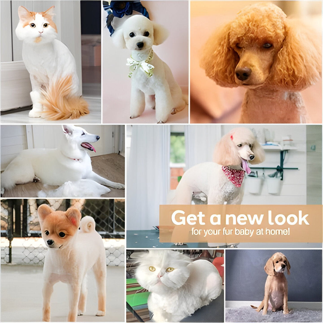 Ultra-quiet pet grooming clippers ensuring a calm, stress-free trimming experience for nervous dogs & cats.