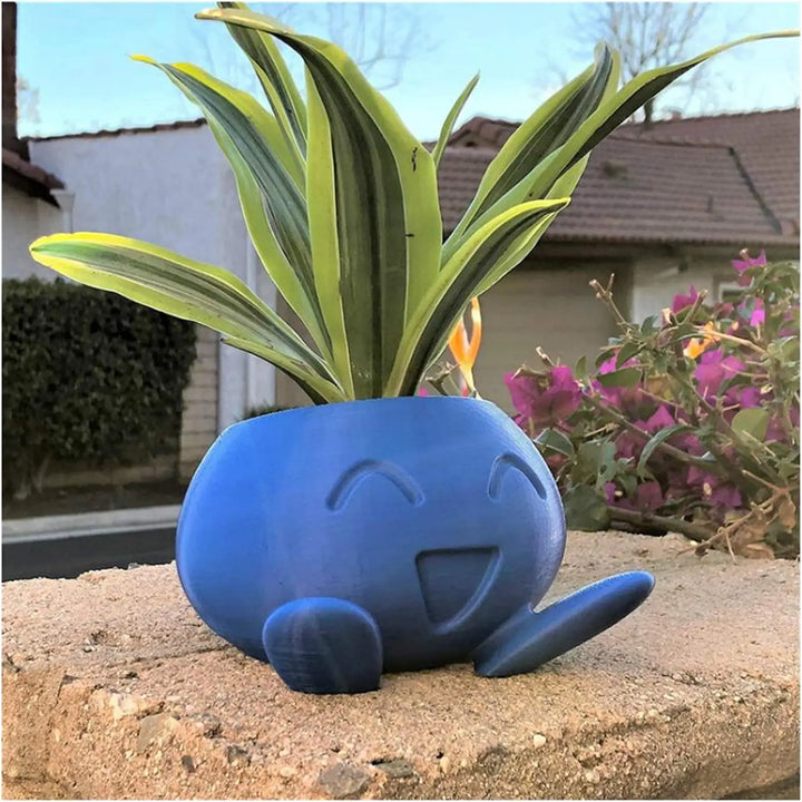 Quirky succulent planter, a unique design for indoor & outdoor home decor. Perfect gift for plant lovers.