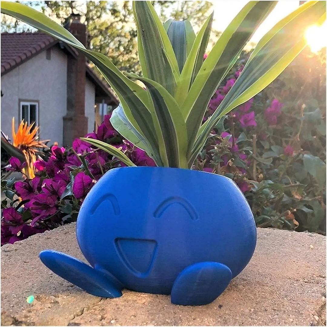 Unique decorative plant pot for succulents & cacti. Distinctive design enhances any indoor or outdoor space.