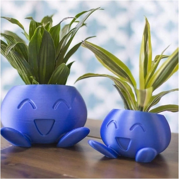 Distinctive succulent desk planter, a quirky pot for indoor plants. Ideal gift for any plant enthusiast.