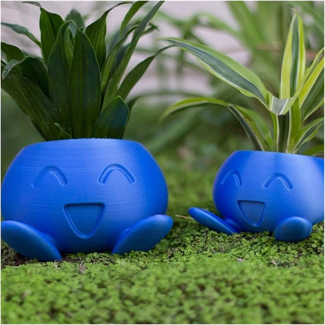 Unique design succulent & cactus planter. Decorative pot for modern home, indoor & outdoor plant display.