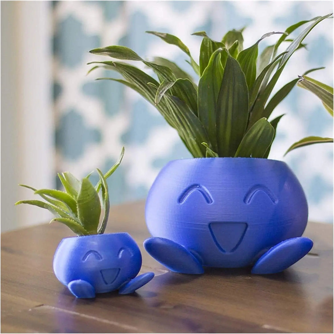 Modern quirky succulent planter. Distinctive plant pot adds character to indoor & outdoor plant arrangements.