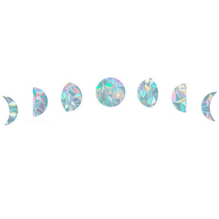 Sparkling rainbow light from a sun catcher window decal, creating a beautiful and safe environment for birds.