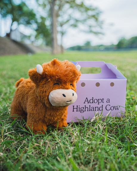 Unisex soft cotton Highland cow, a realistic plush toy perfect as a cuddly animal gift.