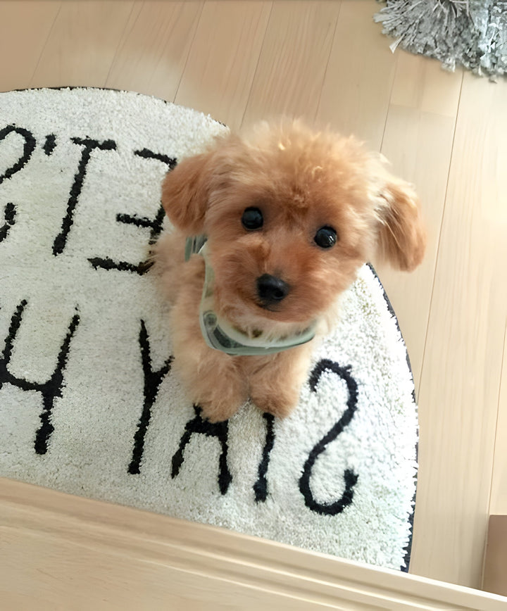 Lifelike realistic teddy dog plush toy. A soft stuffed puppy companion, ideal comfort toy for children.