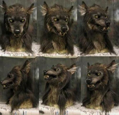 Detailed unisex scary wolf mask with realistic fur texture, ideal for Halloween parties & horror costumes.