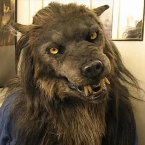 Realistic werewolf mask, unisex, perfect for Halloween horror costume parties and spooky events.