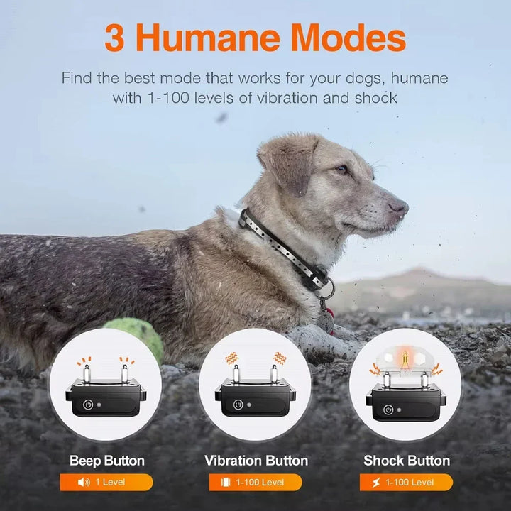 Dog training collar and remote control, illustrating bark control and animal training features.