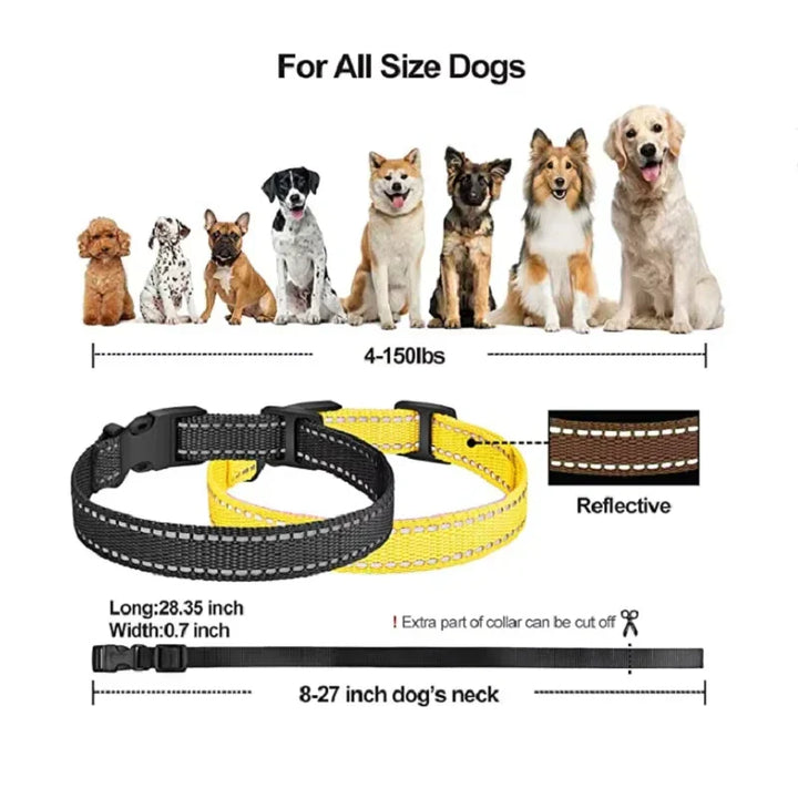 Full set: electric dog training collar and remote, ideal for reliable pet obedience and training.