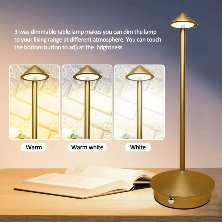 Sleek modern rechargeable LED desk lamp. Cordless, touch control with 3 light modes for home decor or office.