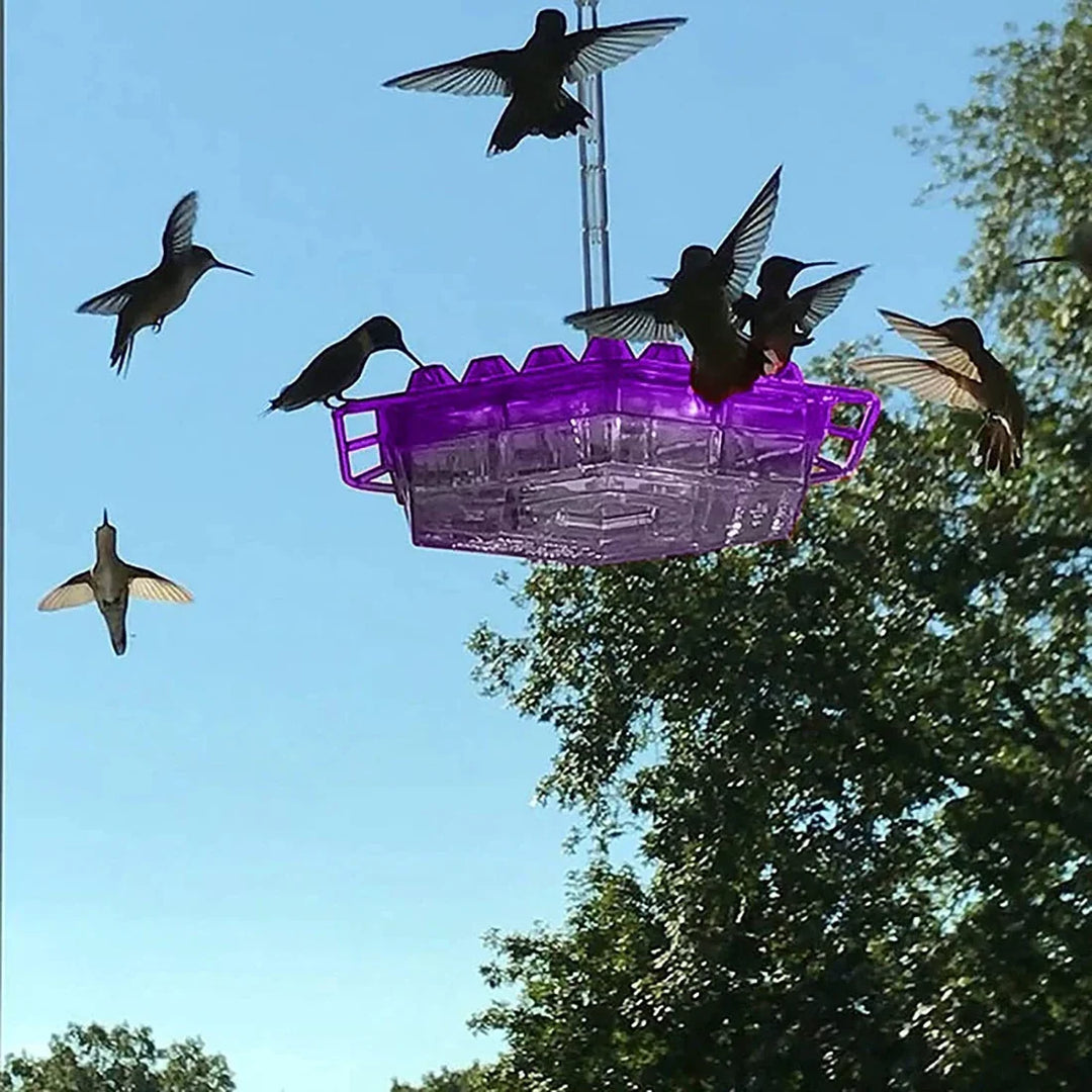 Red ant-proof hummingbird feeder with perch, perfect for garden birds & backyard wildlife. Easy to clean design.