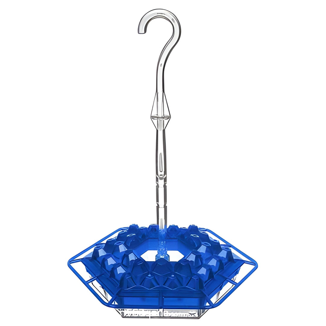 Vibrant ant-proof hummingbird feeder with sturdy perch. Attracts garden birds for backyard bird watching & enjoyment.