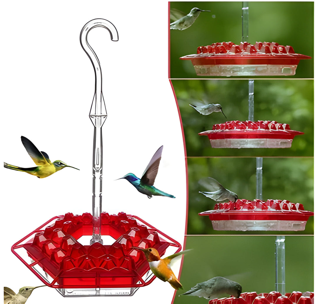 Ant-proof, bee-proof hummingbird feeder with comfortable perch. Essential nectar feeder for backyard wildlife.