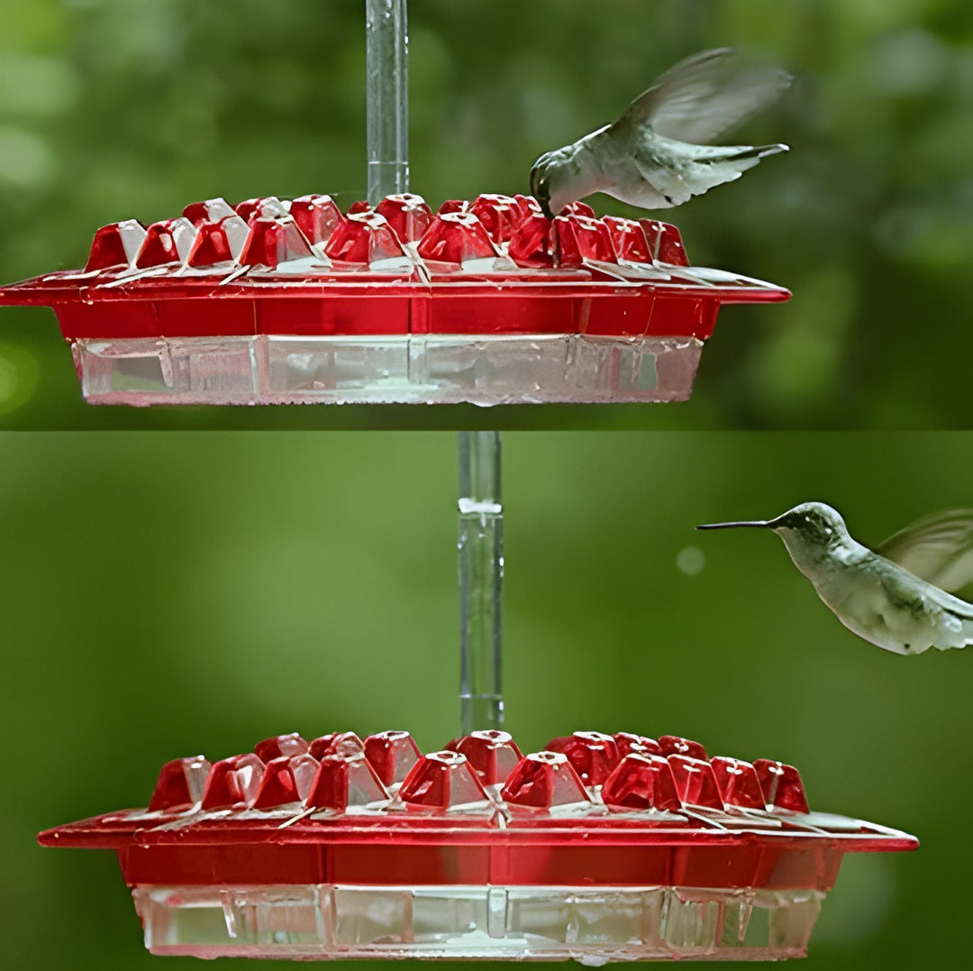 Clear & red ant-proof hummingbird feeder with perch, perfect for garden bird watching. Easy refill & clean.