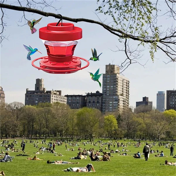 Outdoor bee-proof hummingbird feeder with comfortable perch. 16oz capacity for attracting wild birds.