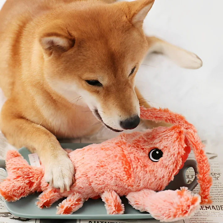 Red floppy lobster interactive dog toy for playtime fun & enrichment. Durable pet chew toy for anxiety relief.