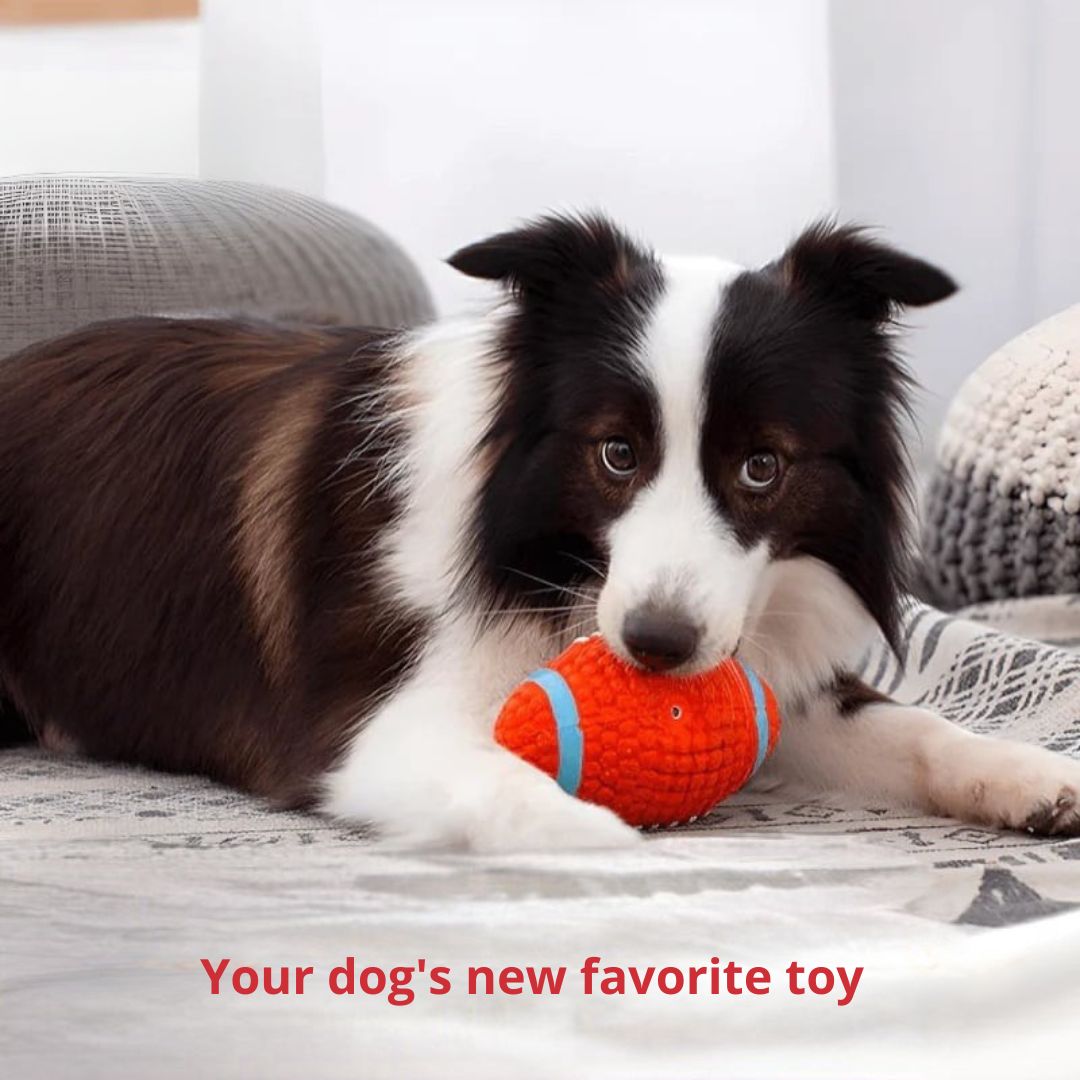 Maximum durability dog toy for aggressive chewers; reliable pet supplies for fun.