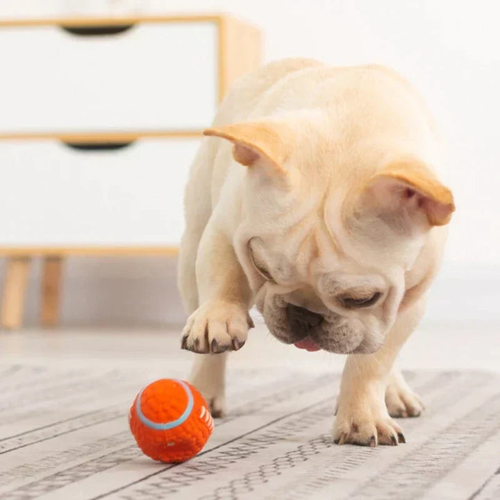 Durable chew toy for dogs, designed for tough chewers and long-lasting play.