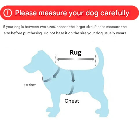 RainRover waterproof dog jacket, an all-weather pet coat. Protects active dogs from rain, snow, and cold.